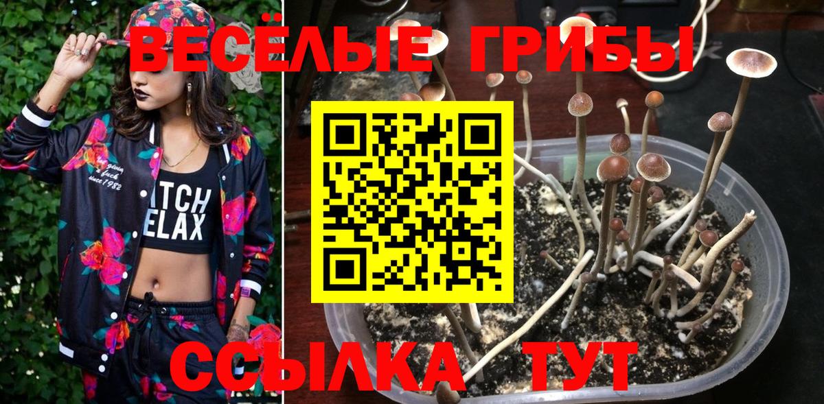 Галлюциногенные грибы прущие грибы Саки